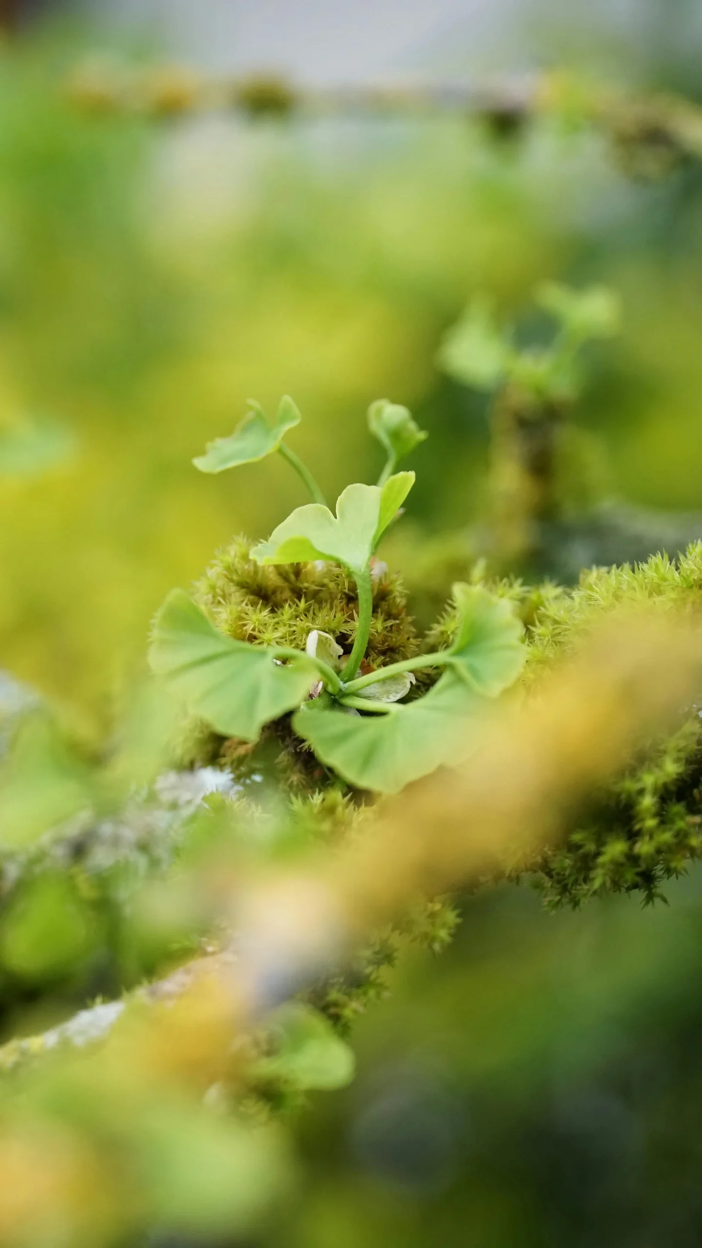 Powering Your Body and Mind with the Right Nutrition