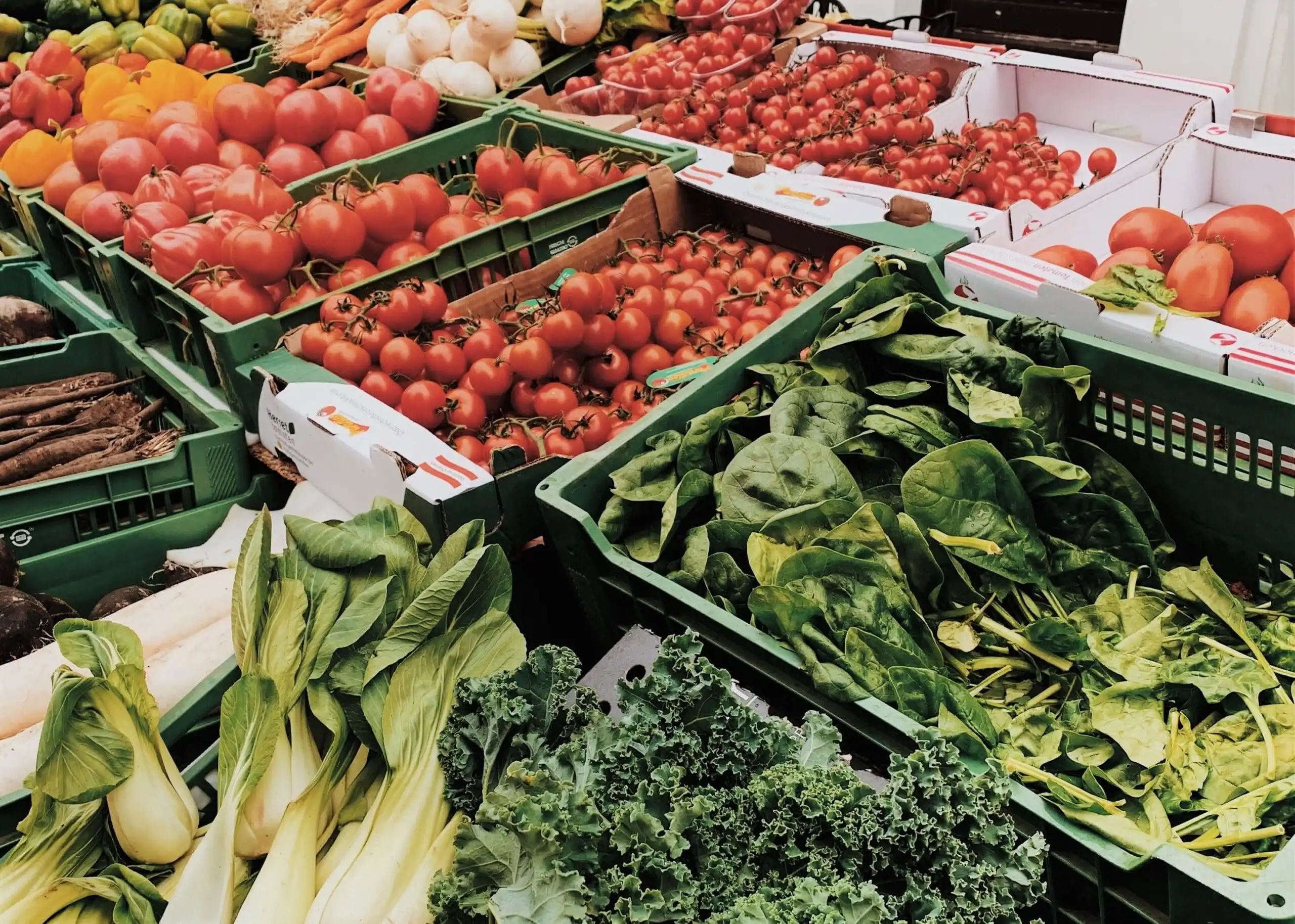 We Can Create Food Systems That Enhance Human & Planetary Health