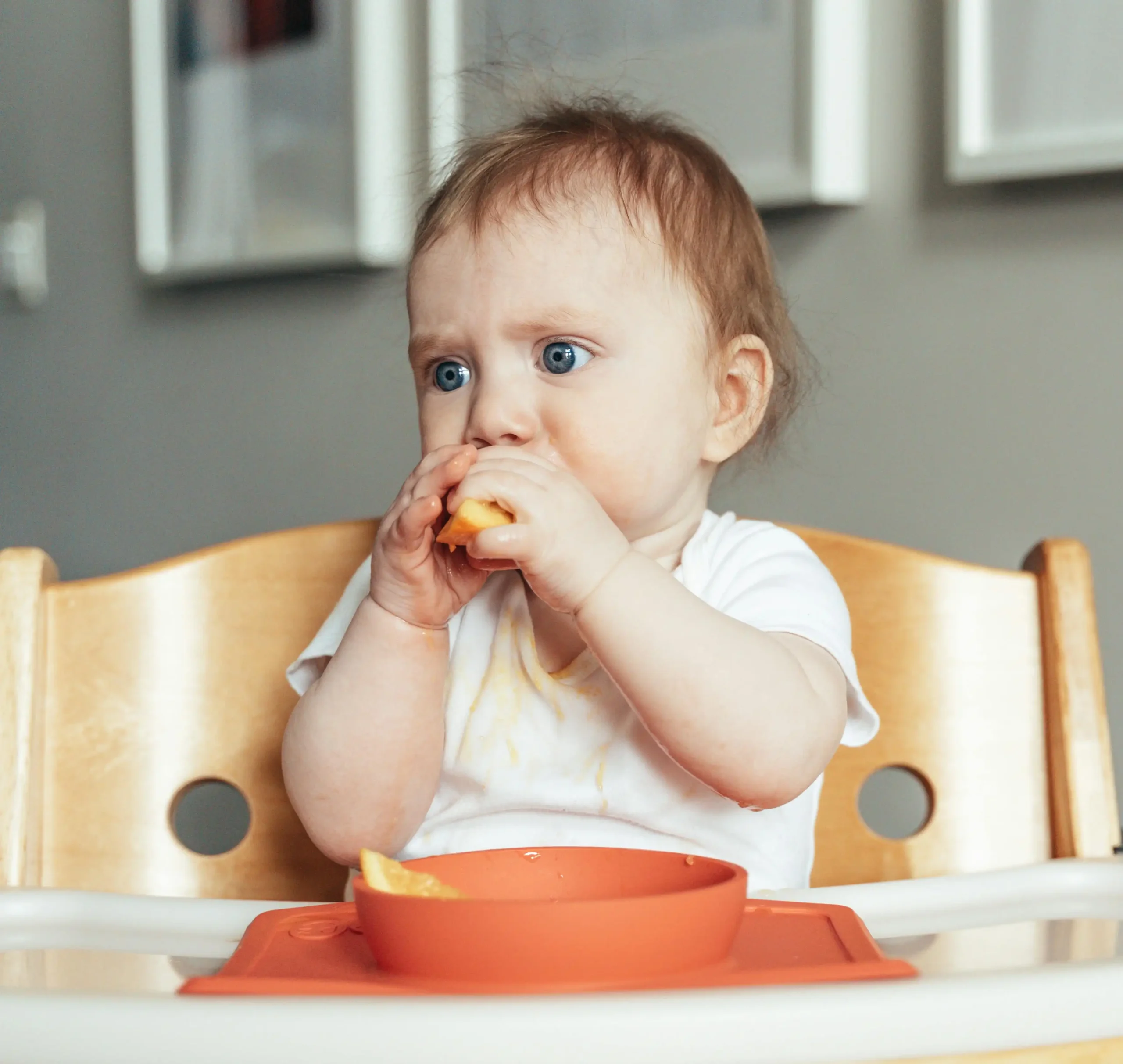 Food for Tiny Bodies: How Nutrition Fuels Your Baby’s Brain and Physical Growth