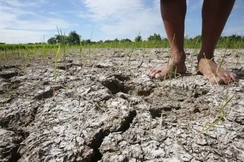 El Niño 2026 Warning: How Extreme Heat, Disease and Food Shortages Could Affect Millions Worldwide