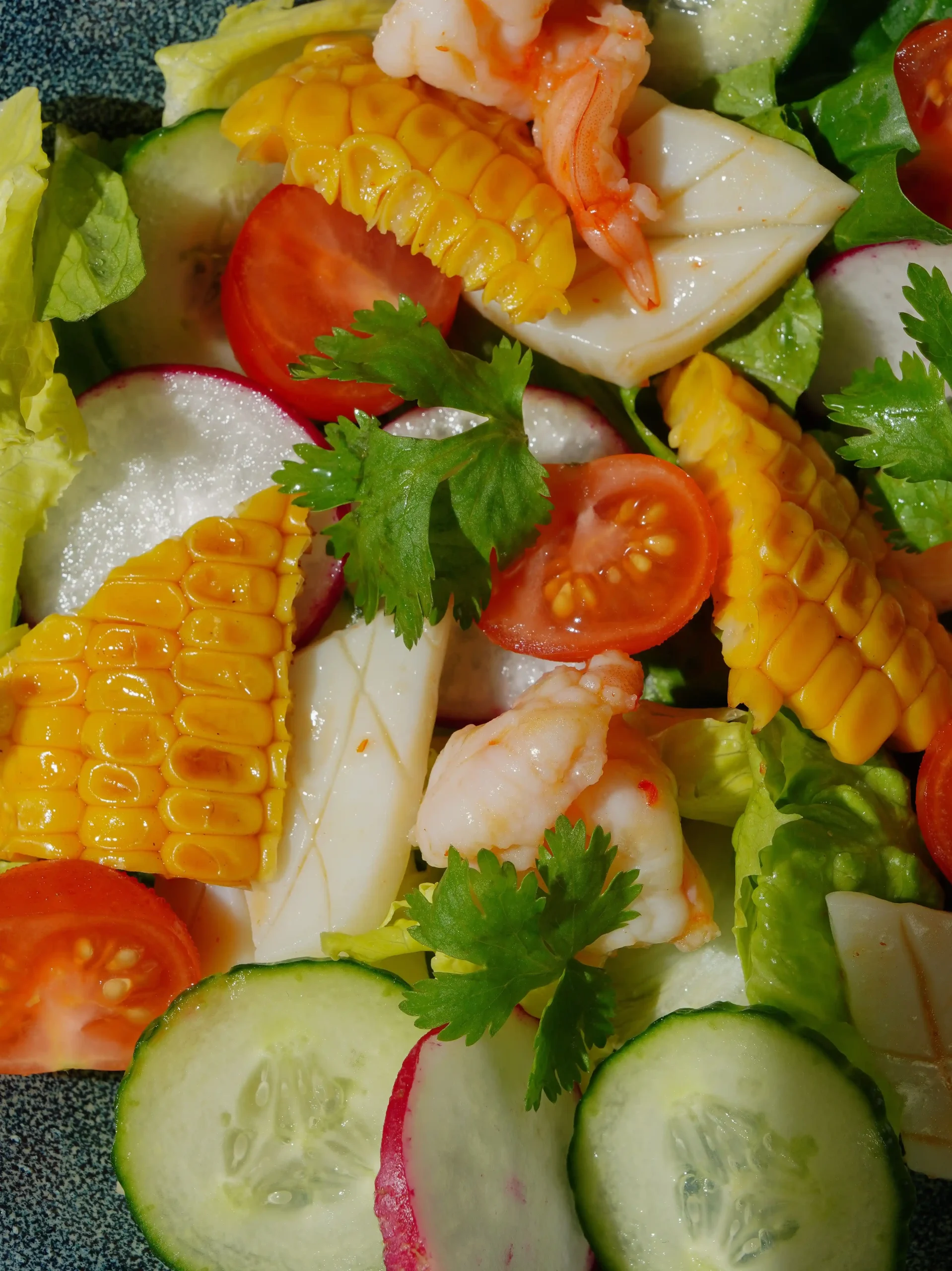 Summer Fresh Recipes for Light Meals: Mediterranean Shrimp Salad With Avocado, Cucumber, and Lemon Dressing