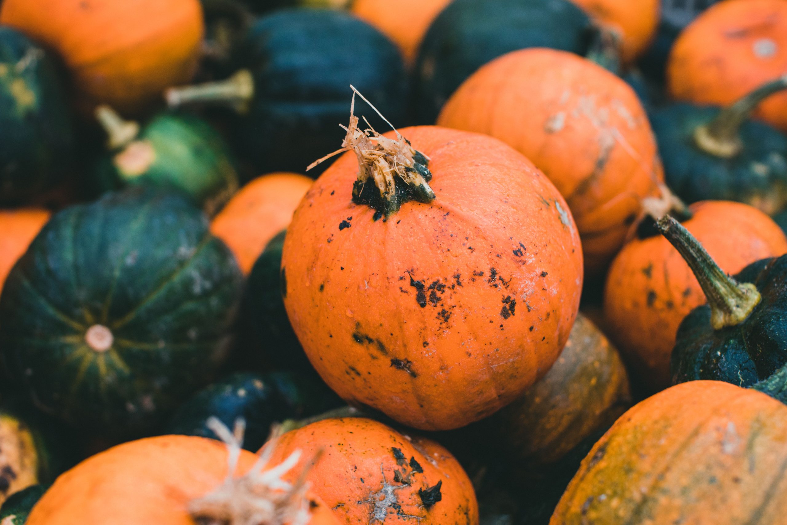 Halloween Without the Food Guilt: A More Balanced Approach to Seasonal Eating
